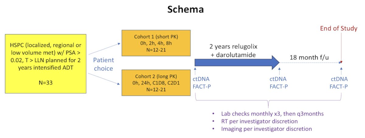Eligible patients had PSA > 0.02 ng/ml, testosterone ≥ lower limit of normal, and were planned for 2 years of ADT + ARPI for high-risk localized, lymph node-positive, or low-volume metastatic prostate cancer. Prior ADT ± ARPI was permitted if testosterone recovered to ≥ the lower limit of normal, but patients with high volume metastatic prostate cancer, prior PSA rise with castrate testosterone, or on medications with significant predicted drug-drug interactions with relugolix or darolutamide were excluded. Patients received relugolix 360 mg ×1 on day 1 (D1) followed by 120 mg QD and darolutamide 600 mg BID starting on D1, and elected for pharmacokinetics sampling at 0h, 2h, 4h, 8h on D1 (cohort 1) or pre-dose on D1, 2, 8, and 29 (cohort 2). Radiation therapy to local and/or metastatic sites was delivered per standard of care. Patients received up to 26 28-day treatment cycles with PSA/testosterone monitoring every 3 months until 18 months after the end of treatment: