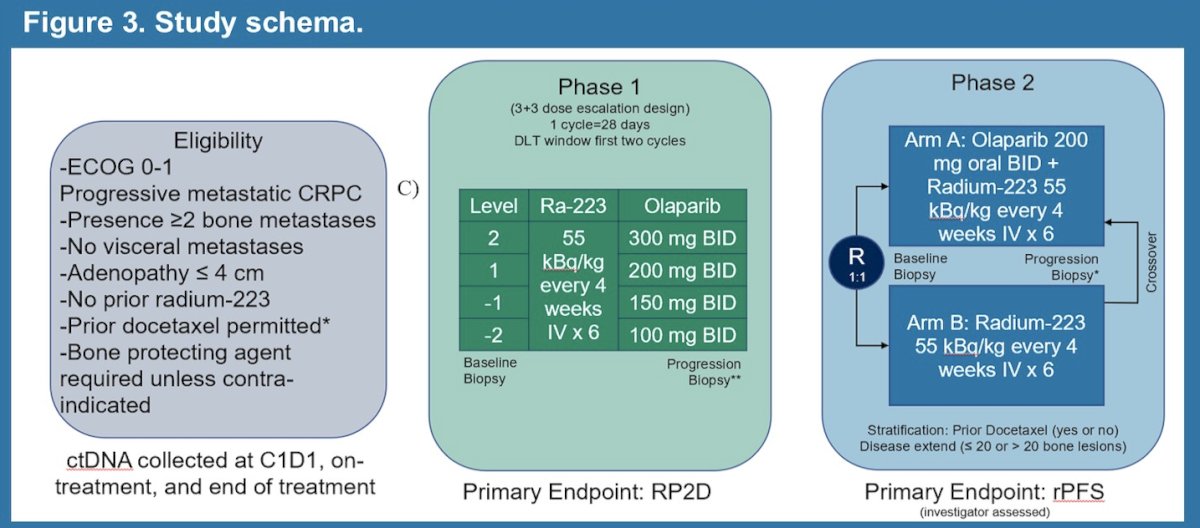 Patients were randomized 1:1 to olaparib 200 mg twice daily + radium-223 (Arm A) or radium-223 alone (Arm B):