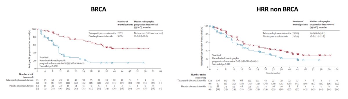 TALAPRO-22 demonstrated improved outcomes with enzalutamide + talazoparib in the BRCA population, showing a radiographic progression-free survival benefit (HR 0.26, 95% CI 0.16-0.42) as well as in HRR non-BRCA altered (HR 0.65, 95% CI 0.47-0.91) mCRPC: