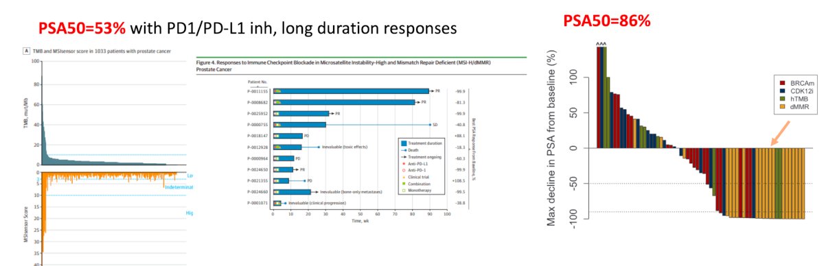 Immune checkpoint inhibition represents another example of biomarker-driven therapy. Dr. Fizazi noted that MSI-high disease remains uncommon in mCRPC, occurring in approximately 3% of patients. Data from Abida and colleagues [4] demonstrated PSA50 responses in 53% of patients treated with PD-1/PD-L1 inhibitors, with many experiencing durable responses. More recently, Van Wilpe et al. [5] reported outcomes among 68 patients with post-ARPI and post-docetaxel mCRPC, including 21 patients with dMMR disease treated with ipilimumab plus nivolumab. In this cohort, PSA50 responses reached 86%, highlighting the activity of immunotherapy in appropriately selected patients: