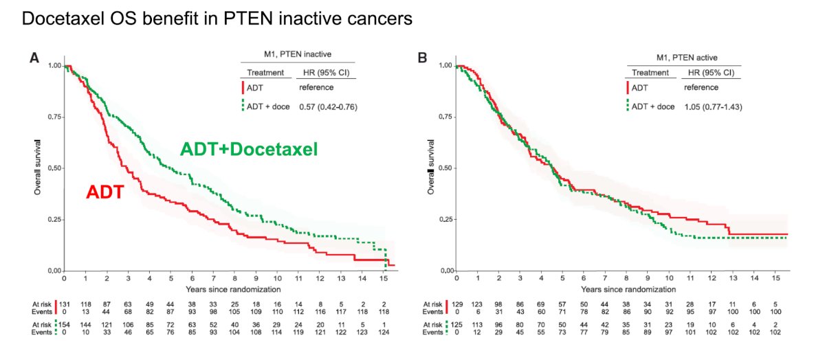 Another emerging biomarker discussed was PTEN inactivity. Recent transcriptomic analyses suggest that PTEN-inactive tumors derive greater benefit from docetaxel. Data presented from Grist et al. [7] reported that the Decipher RNA signature was both prognostic and predicted survival benefit from docetaxel for metastatic prostate cancer (biomarker-docetaxel interaction p = 0.039). Additionally, transcriptome-based classification of PTEN inactivation identified tumors more likely to have PTEN protein loss (p < 0.001) and metabolically perturbed metastatic prostate cancer that had shorter survival with hormone therapies (p < 0.001), but exhibited docetaxel sensitivity (biomarker-docetaxel interaction p = 0.002):&nbsp;
