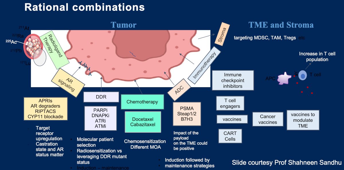 Future rational combination strategies and potential partners for PSMA-targeted radioligand therapy, including: