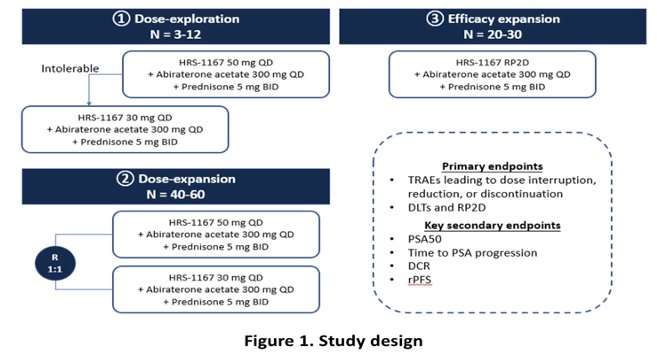 This was a multicenter, open-label, dose-finding and efficacy expansion study (NCT06689163) conducted in Chinese adult patients with HRR-mutated mCRPC who had received prior therapy. Patients received oral HRS-1167 at either 30 mg daily or 50 mg daily in combination with abiraterone acetate 300 mg daily and prednisone 5 mg twice daily. The primary study objectives were safety and tolerability.