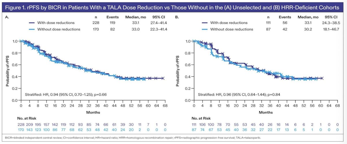 OS findings were likewise consistent across dose reduction groups. In the unselected population, median OS was 46.9 months among patients with dose reductions versus 45.1 months among those without (HR 0.90, 95% CI 0.68–1.20). In the HRR-deficient cohort, median OS was 41.9 months versus 48.4 months, respectively (HR 0.98, 95% CI 0.64–1.49), again demonstrating no clinically meaningful differences.