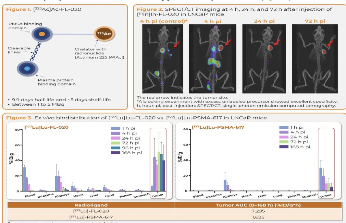 From a safety perspective, treatment-related adverse events were generally manageable and consistent with expectations for PSMA-targeted alpha radioligand therapy. Ongoing follow-up will further define the safety profile and establish the recommended dose for future studies.