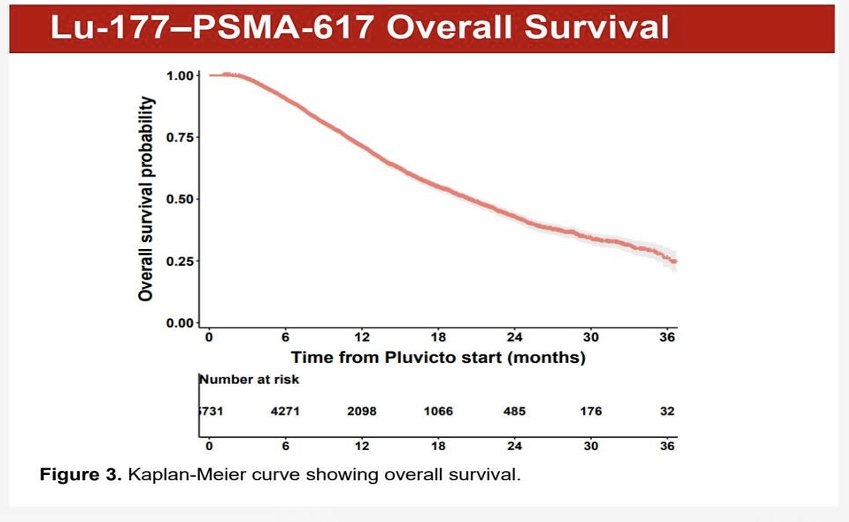Kaplan-Meier analyses demonstrated OS rates of 85.4%, 67.2%, 42.8%, and 23.8% at 6, 12, 24, and 36 months, respectively, which the authors noted were comparable to outcomes observed in the phase III VISION trial.