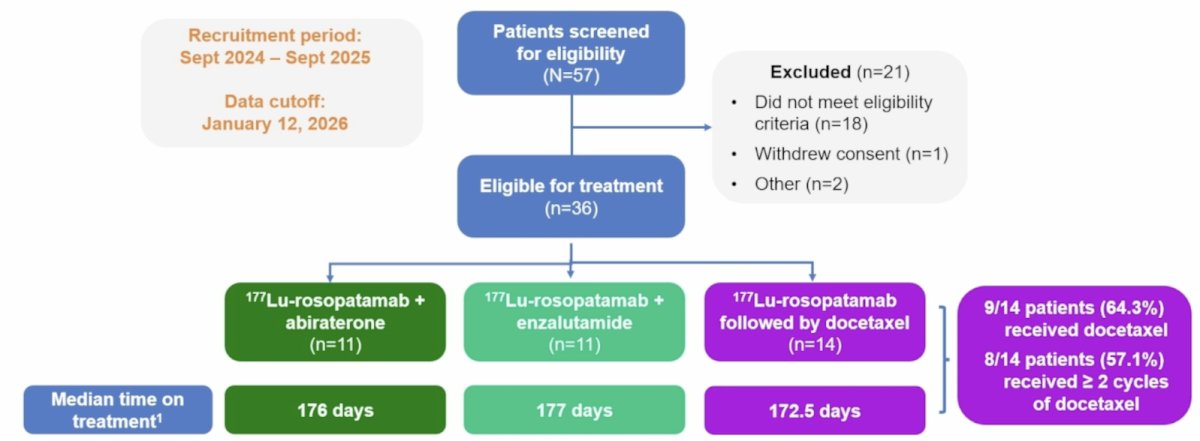 Data from 36 patients (baseline median PSA: 18.18 ng/mL) who received any study treatment were included (Cohorts 1, 2, 3: n = 11, 11, 14, respectively):