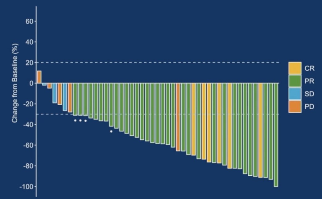 In the overall population, objective response rate was 83.0% (95% CI 69.2-92.4), and complete response rate was 12.8%. All complete response patients were still on treatment, and the longest treatment duration has already exceeded two years. Disease control rate was 89.4% (95% CI 76.9-96.5), median progression-free survival was 12.9 months (95% CI 6.5-NA), and median duration of response was not reached. Among the treatment naïve cohort, the objective response rate was 87.5%, and the disease control rate was 92.5%. Previously treated patients had an objective response rate of 57.1% and a disease control rate of 71.4%: