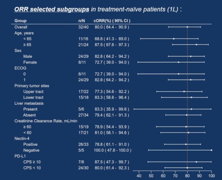 The objective response rate by selected subgroups in the treatment naïve patients is highlighted in the following figure: