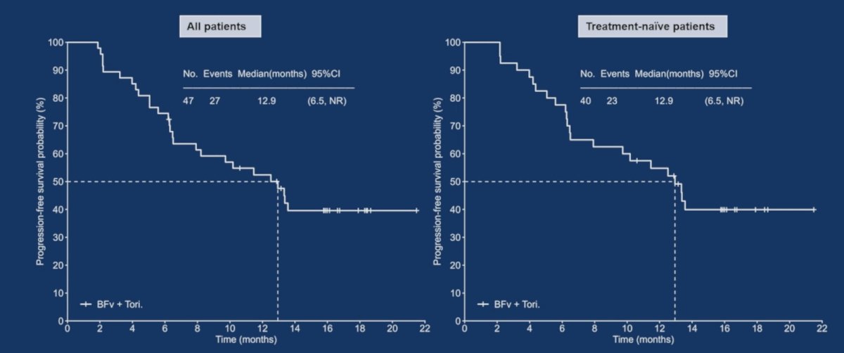 The median progression-free survival in all patients was 12.9 months (95% CI 6.5 – not reached), and in treatment naïve patients was also 12.9 months (95% CI 6.5 – not reached):