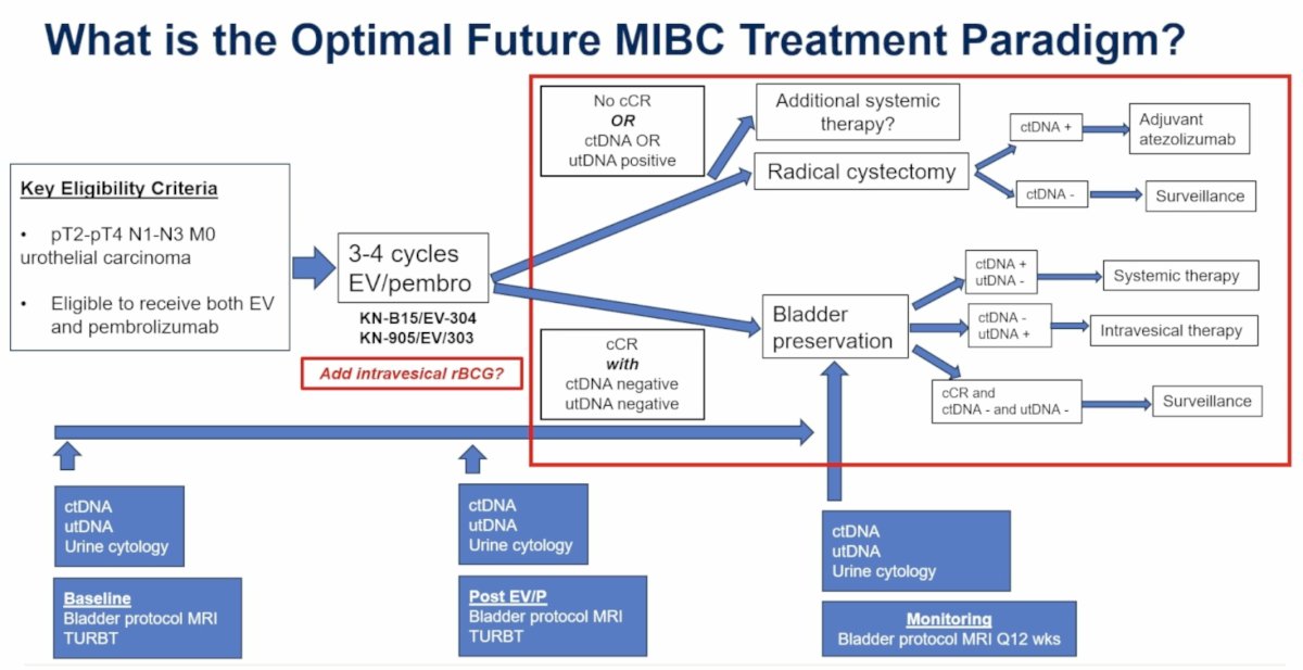 To illustrate this concept, Dr. Reimer presented a proposed future MIBC treatment algorithm. Patients would receive intensified neoadjuvant therapy, such as enfortumab vedotin plus pembrolizumab with or without intravesical rBCG, followed by a comprehensive assessment incorporating bladder MRI, repeat TURBT, urine cytology, ctDNA, and utDNA. Patients achieving cCR with negative molecular biomarkers could potentially enter bladder-preservation pathways with intensive surveillance, whereas those with persistent disease or positive biomarkers would proceed to radical cystectomy followed by risk-adapted systemic therapy. This framework reflects the growing movement toward biologically individualized treatment strategies rather than uniform management for all patients.
