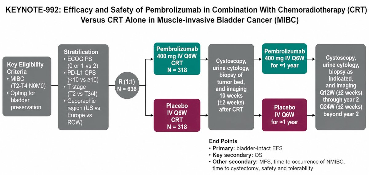 He highlighted the ongoing phase III KEYNOTE-992 study, which is evaluating pembrolizumab combined with chemoradiotherapy versus chemoradiotherapy alone in patients pursuing bladder preservation. The trial’s primary endpoint is bladder-intact event-free survival, with overall survival as a key secondary endpoint.&nbsp;