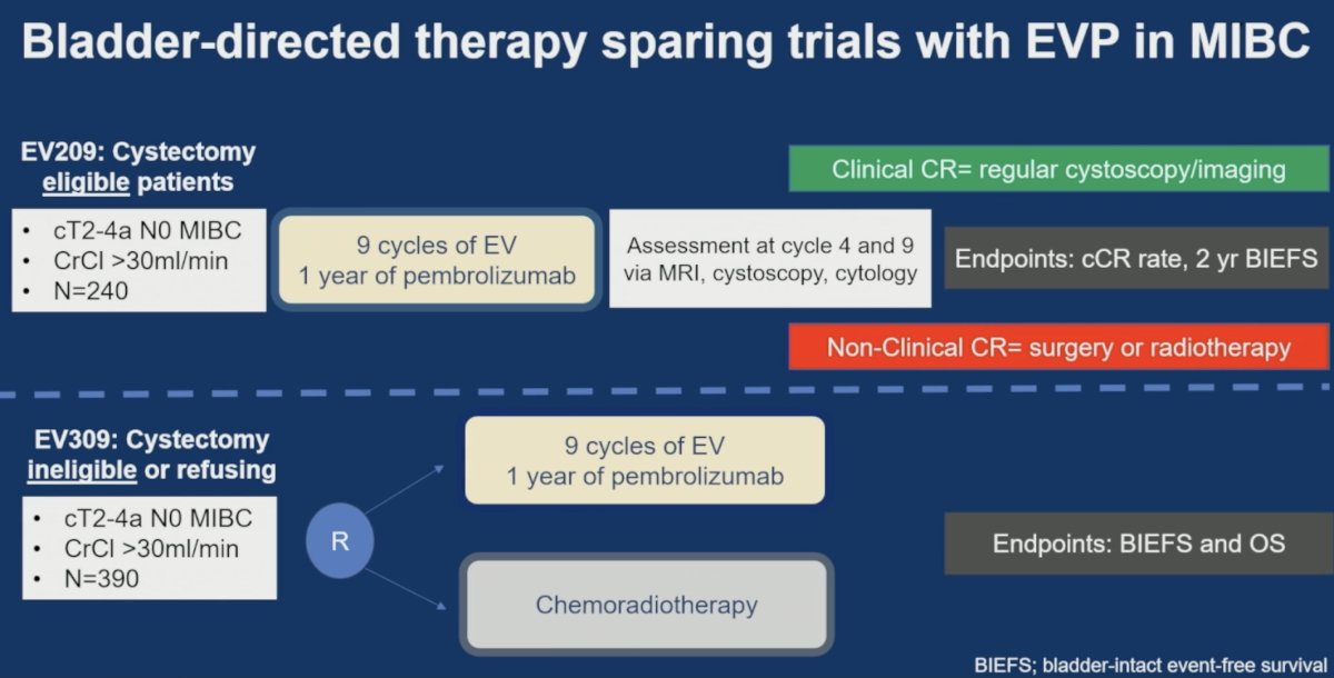 He also discussed emerging bladder-directed therapy–sparing strategies involving enfortumab vedotin plus pembrolizumab. Trials such as EV-209 and EV-309 are exploring whether patients achieving clinical complete responses following systemic therapy may safely avoid surgery or radiation altogether. These studies incorporate serial MRI, cystoscopy, cytology, and imaging assessments to determine whether treatment de-escalation can be safely pursued.