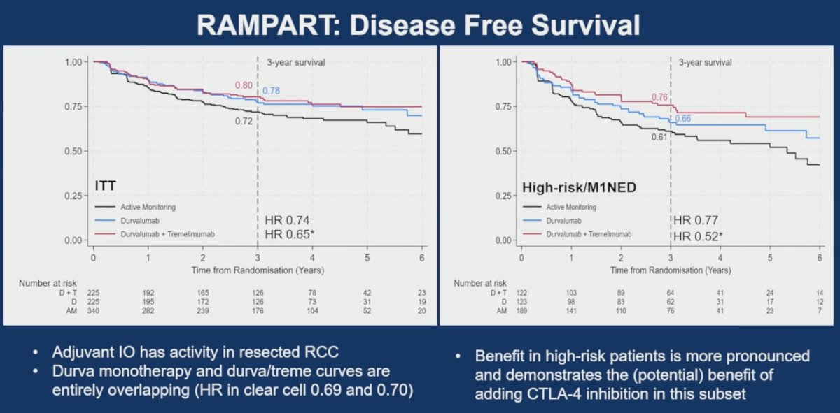 Among all randomized patients, disease-free survival hazard ratios were 0.74 for durvalumab monotherapy and 0.65 for durvalumab plus tremelimumab versus active monitoring. In the high-risk/M1 NED population, the benefit appeared more pronounced, with hazard ratios of 0.77 and 0.52, respectively.