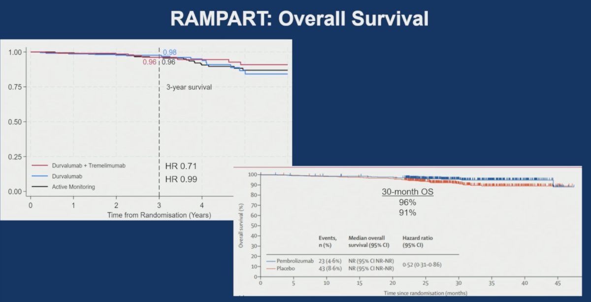 However, Dr. Rini cautioned against overinterpreting these findings. The disease-free survival curves for durvalumab monotherapy and durvalumab plus tremelimumab were largely overlapping, particularly among patients with clear-cell histology. Furthermore, overall survival data remain immature.