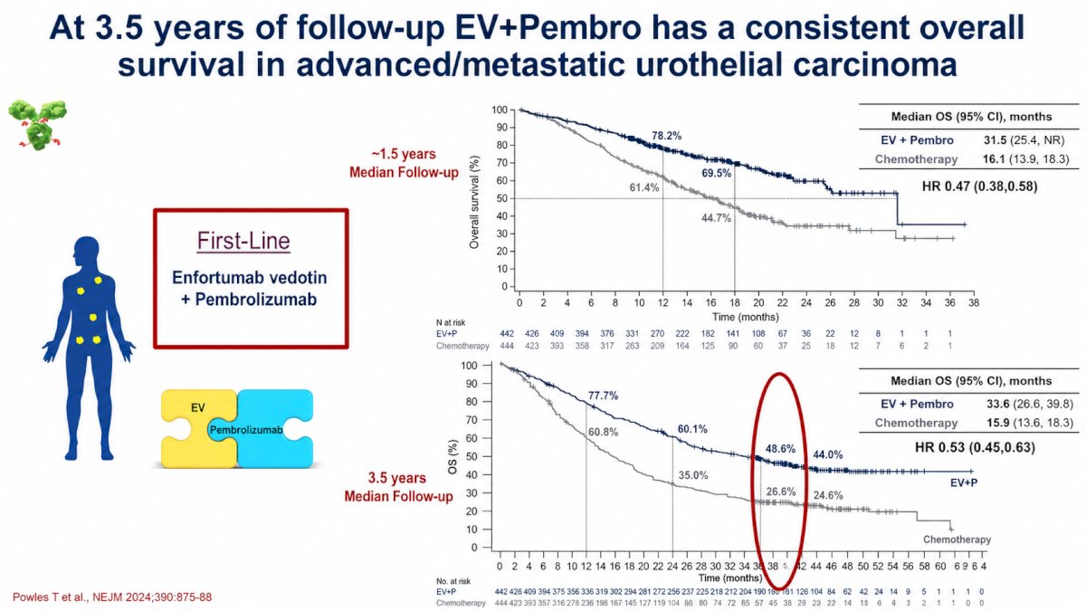 Dr. Apolo emphasized that these long-term results confirm the durability of benefit and reinforce EV plus pembrolizumab as the preferred frontline standard of care in metastatic urothelial carcinoma.