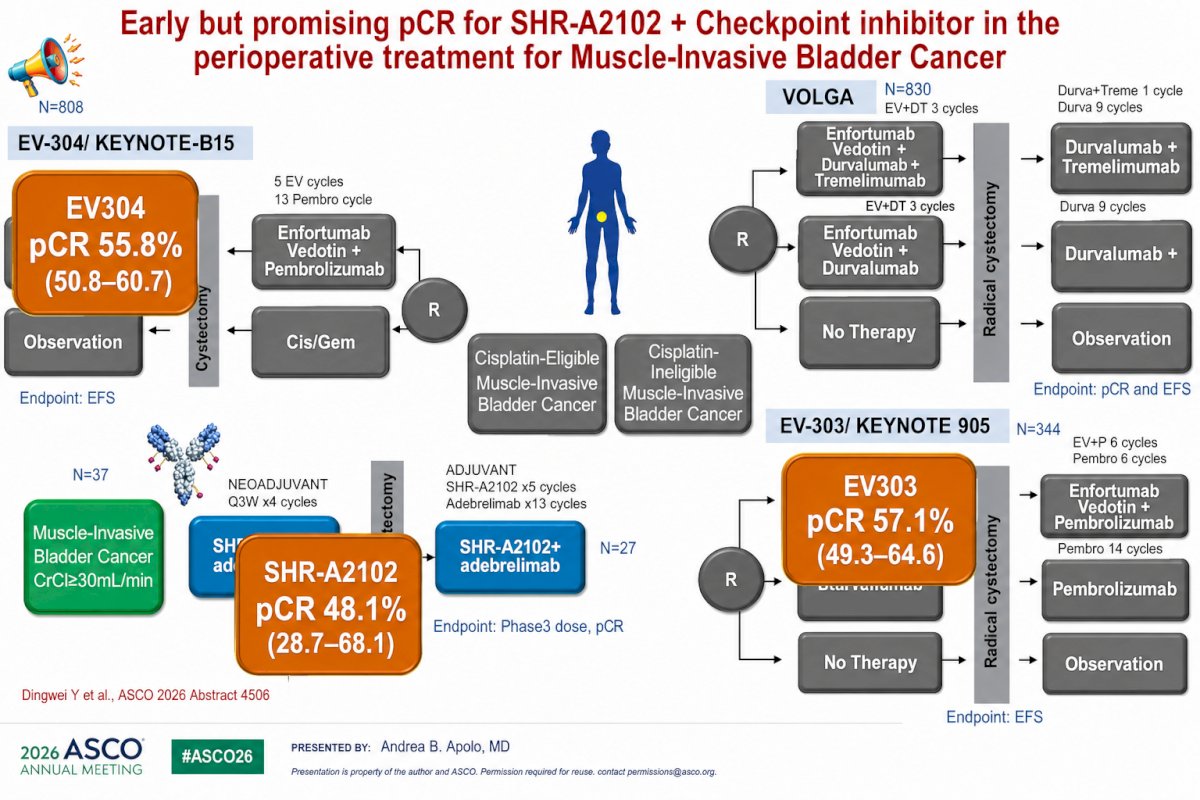 Dr. Apolo placed these results in the context of ongoing perioperative Nectin-4–directed studies, including EV-304/KEYNOTE-B15, EV-303/KEYNOTE-905, and VOLGA.
