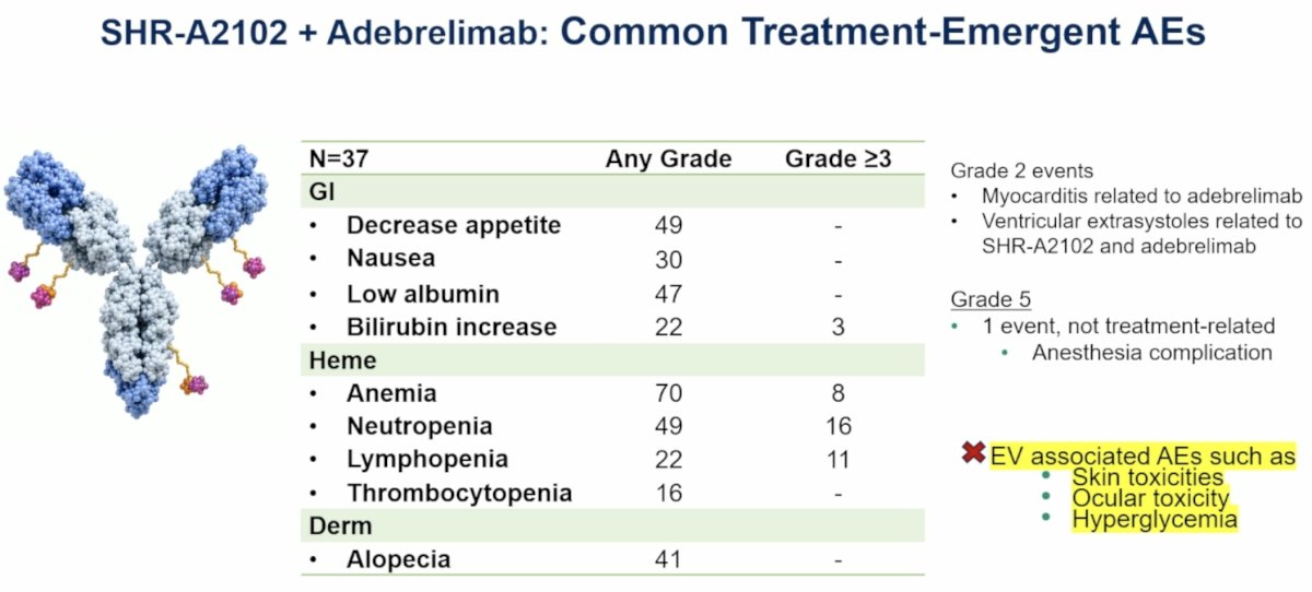 Importantly, adverse events commonly associated with EV—including skin toxicity, ocular toxicity, and hyperglycemia—were not prominent. Two grade 2 cardiac events were reported, including myocarditis attributed to adebrelimab and ventricular extrasystoles attributed to the combination. One grade 5 anesthesia-related complication was considered unrelated to treatment.