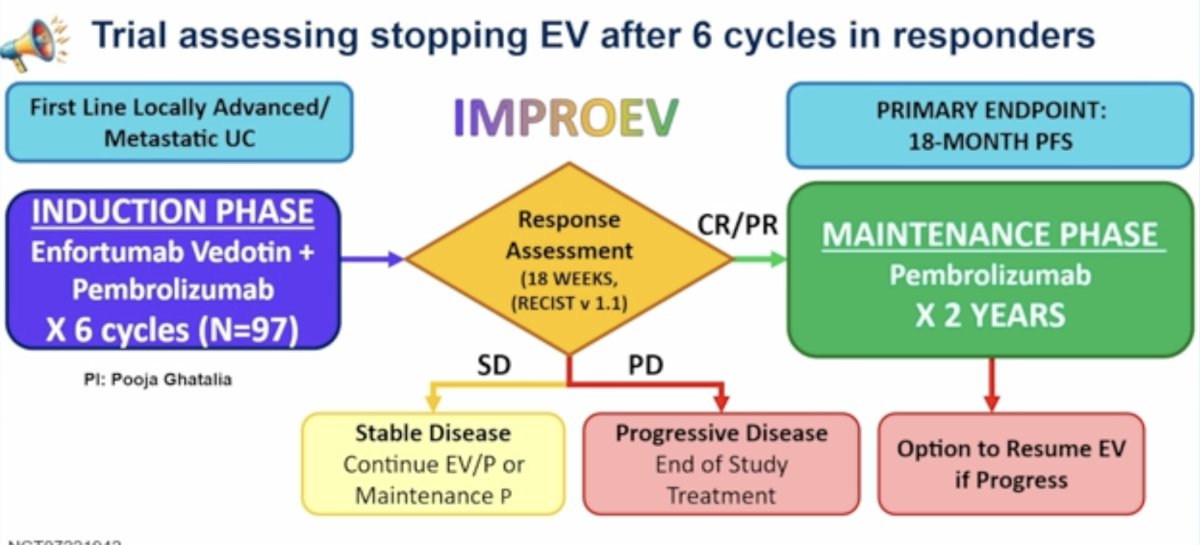 To address these questions, Dr. Apolo highlighted the ongoing phase 2 IMPROVE study. This trial enrolls patients with locally advanced or metastatic urothelial carcinoma and administers six cycles of induction EV plus pembrolizumab. Patients achieving CR or PR transition to pembrolizumab maintenance for up to two years, while EV may be reintroduced upon progression. The primary endpoint is 18-month progression-free survival.