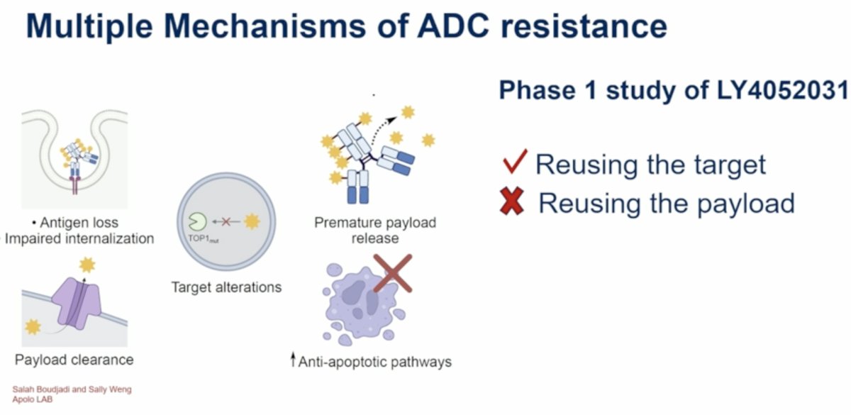 Dr. Apolo framed these findings within the broader biology of ADC resistance. Potential mechanisms include: