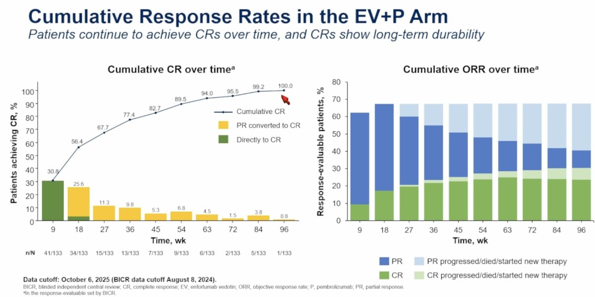 The cumulative response rates in the EV+P arm are summarized below: