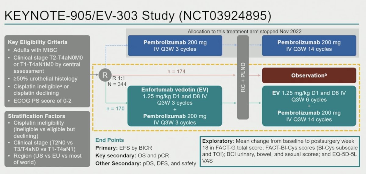 KEYNOTE-905/EV-303 (NCT03924895) randomized 344 patients in a 1:1 fashion. Eligible patients had MIBC, clinical stage T2-T4aN0M0 or T1-T4aN1M0 disease by central assessment, ≥50% urothelial histology, ECOG performance status 0–2, and were cisplatin-ineligible or declined cisplatin.