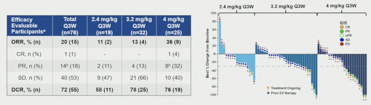 In the 76 efficacy evaluable metastatic urothelial carcinoma participants treated with 2.4-4.0 mg/kg every 3 weeks (93% enfortumab vedotin-pretreated), the objective response rate was 20% and the disease control rate was 72%, with 14 partial responses (18%) and 40 stable disease (53%). While the 4 mg/kg dose demonstrated promising antitumor activity (objective response rate 36%), grade 3+ hematologic toxicities compromised dose intensity and precluded further dose escalation: