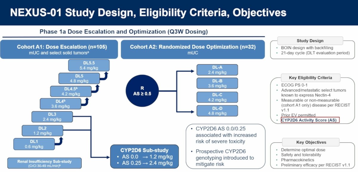 As clinical experience accumulated, the investigators observed that severe toxicities clustered among patients with reduced CYP2D6 activity. Consequently, prospective CYP2D6 genotyping was incorporated into the study. Patients with an activity score (AS) of 0.0 received 1.2 mg/kg, whereas those with an AS of 0.25 received 2.4 mg/kg as part of a dedicated pharmacogenomic substudy. Participants with AS 0.0 or 0.25 had demonstrated an increased risk of severe toxicity due to reduced payload clearance.