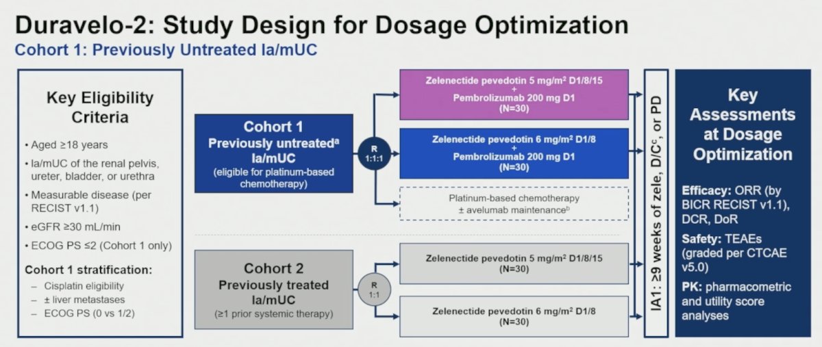 Adults with locally advanced or metastatic urothelial carcinoma were enrolled into 2 cohorts: previously untreated patients eligible for platinum-based chemotherapy (Cohort 1) or patients with ≥1 prior systemic therapy (cohort 2). Interim analysis was conducted to determine the optimized dosage of zelenectide pevedotin + pembrolizumab (cohort 1) or zelenectide pevedotin monotherapy (cohort 2). Specific to ASCO 2026, Dr. Loriot and colleagues reported the interim analysis results from cohort 1. Patients in cohort 1 were randomized 1:1:1 to: zelenectide pevedotin 5 mg/m² on Days [D]1/8/15 + pembrolizumab 200 mg on D1 versus zelenectide pevedotin 6 mg/m² on D1/8 + pembrolizumab 200 mg on D1 versus gemcitabine + cisplatin/carboplatin ± avelumab on a 21-D cycle:&nbsp;