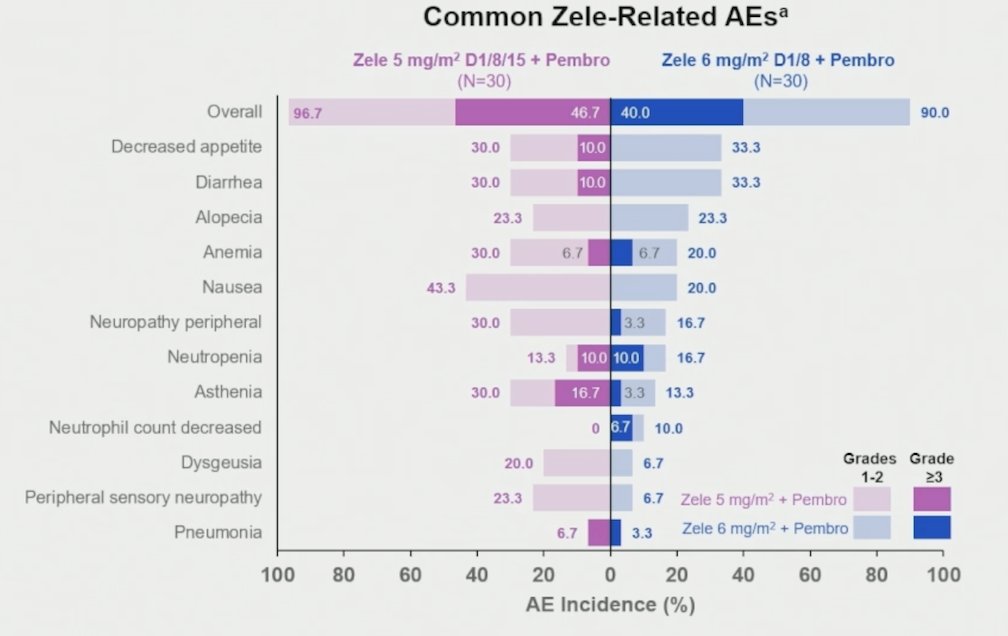 Zelenectide pevedotin-related adverse events were reported in 97% (47% grade ≥3) of patients at 5 mg/m² and 90% (40% grade ≥3) at 6 mg/m²: