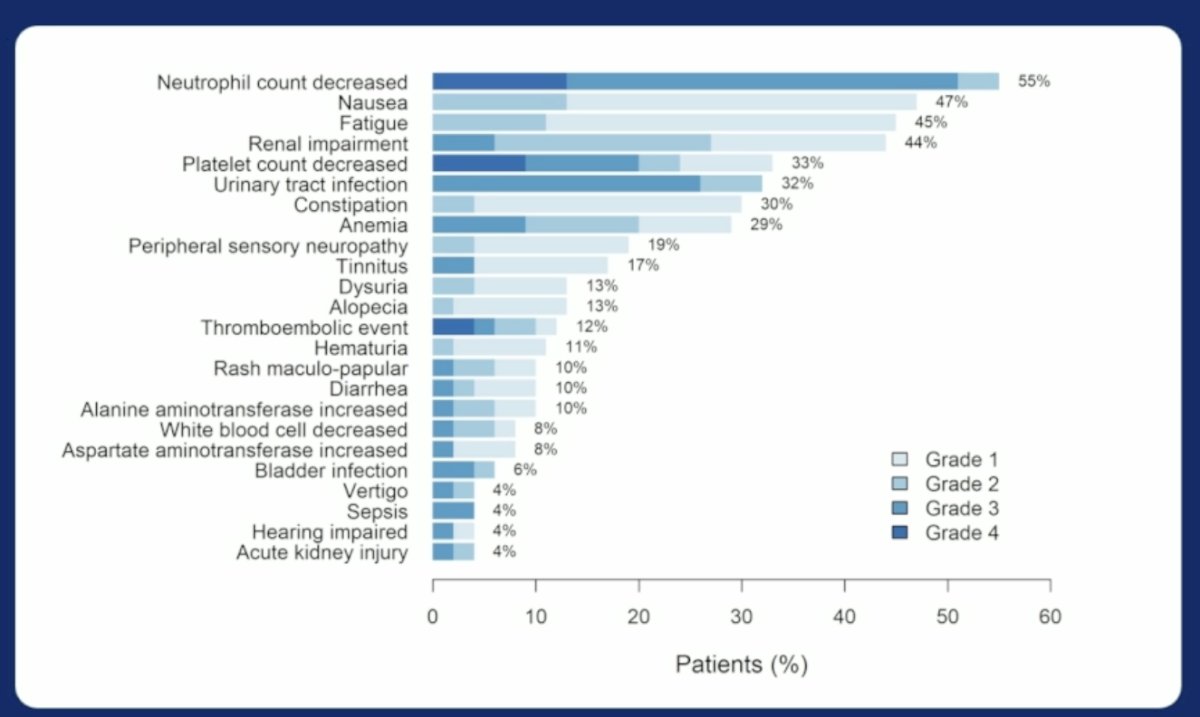 Treatment-related adverse events appeared to be largely driven by chemotherapy. Overall, the most common adverse events were decreased neutrophil count (55%), nausea (47%), fatigue (45%), renal impairment (44%), and decreased platelet count (33%). Grade 3/4 adverse events were predominantly neutropenia, thrombocytopenia, urinary tract infections, anemia, thromboembolic events, and renal impairment.