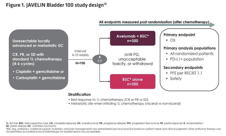 JAVELIN Bladder 100 (NCT02603432) was a phase III trial in which patients with unresectable locally advanced or metastatic urothelial carcinoma without progression after 4–6 cycles of 1st line platinum-based chemotherapy were randomized 1:1 to receive avelumab plus best supportive care (BSC) or BSC alone.1 Biomarker analyses were performed using existing whole transcriptome RNA sequencing profiles, with transcript levels quantified using Personalis ACE technology.