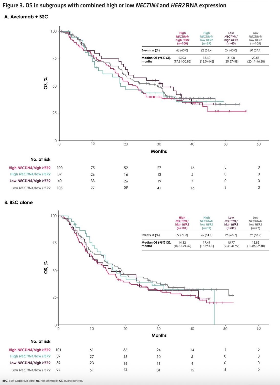 Overall survival analyses demonstrated benefit with avelumab maintenance across subgroups defined by combined NECTIN4 and HER2 expression. In patients with high NECTIN4/high HER2 expression: