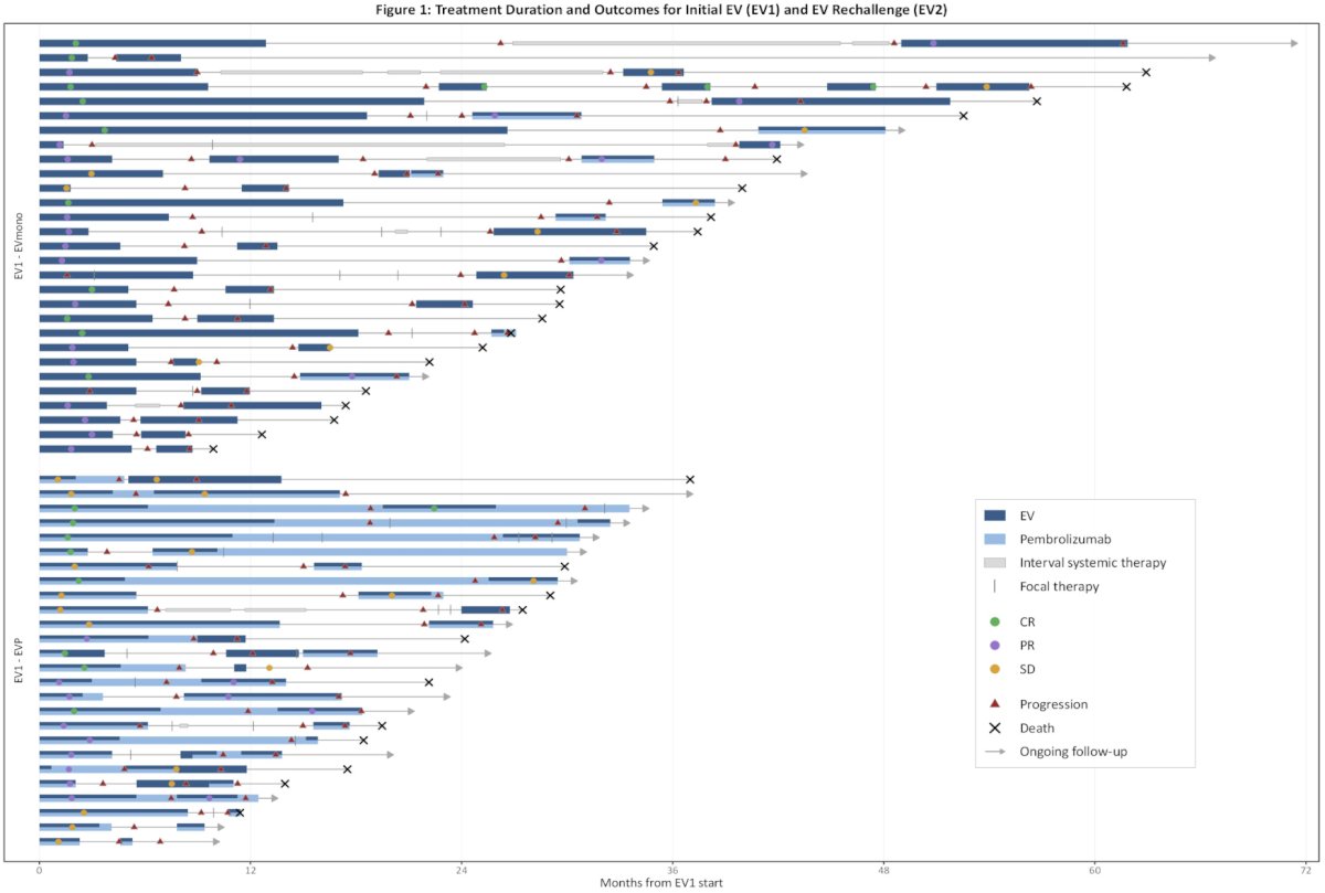 The median follow-up from EV2 initiation was 26 months (95% CI 17–NR). At the time of rechallenge: