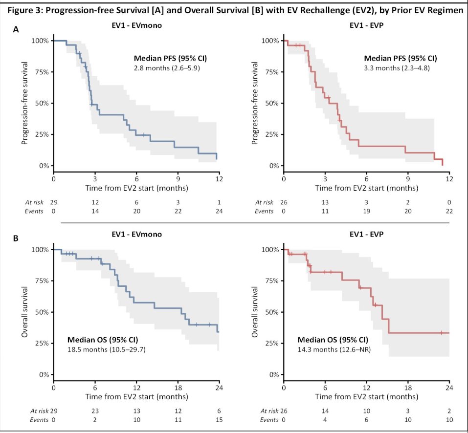 Interestingly, 5 of 8 responders received EV2 at a reduced dose of 0.75 mg/kg, suggesting that rechallenge activity may still be preserved despite dose attenuation.