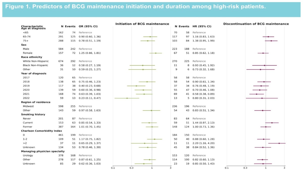 Most patients (95%) receiving BCG did not receive additional intravesical therapy afterwards.