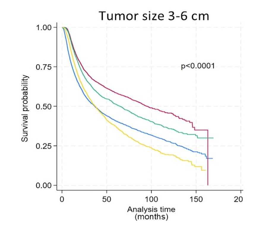For tumors 3–6 cm, radical cystectomy remained significantly superior to trimodal therapy (HR 1.08, 95% CI 1.03–1.14, p < 0.003):