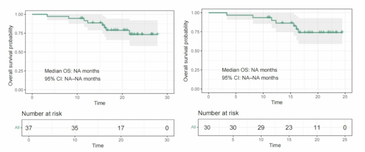 For overall survival, in the total cohort, the median overall survival was not reached, and was also not reached in the phase 2 cohort: