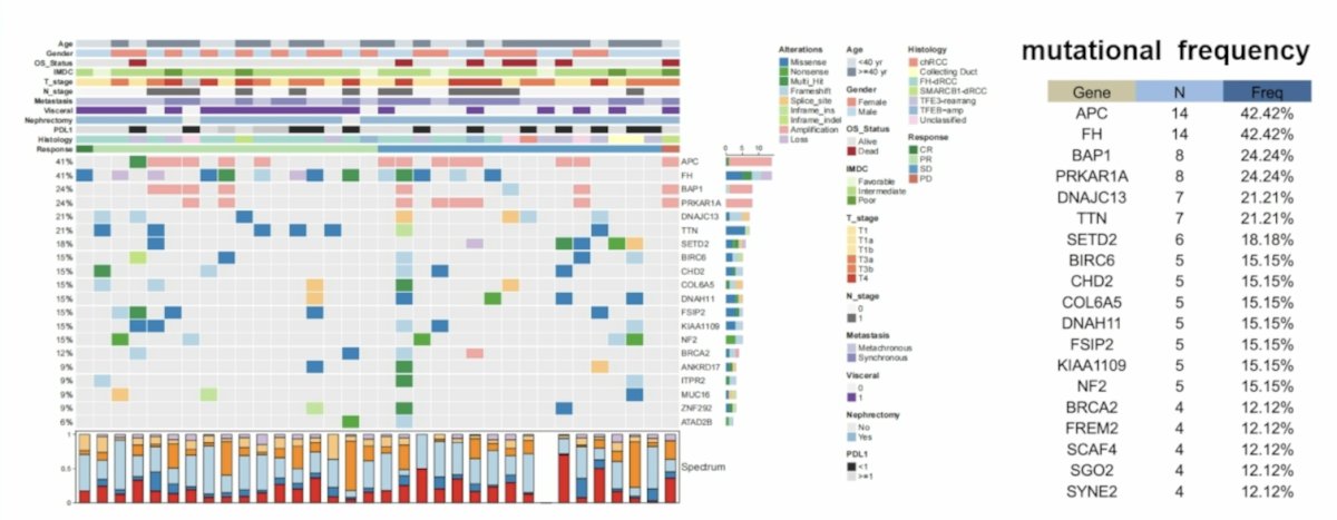 Adverse events were reported in 100.0% of cases, and grade ≥3 treatment-related adverse events occurred in 59.5% (22/37) of cases. All adverse events were expected and manageable. In an exploratory analysis, WES and RNA sequencing were performed in 34 (91.9%) and 34 (91.9%) of patients, respectively: TMB, SCNA burden, and NF2 mutation status were not significantly associated with therapeutic response:&nbsp;