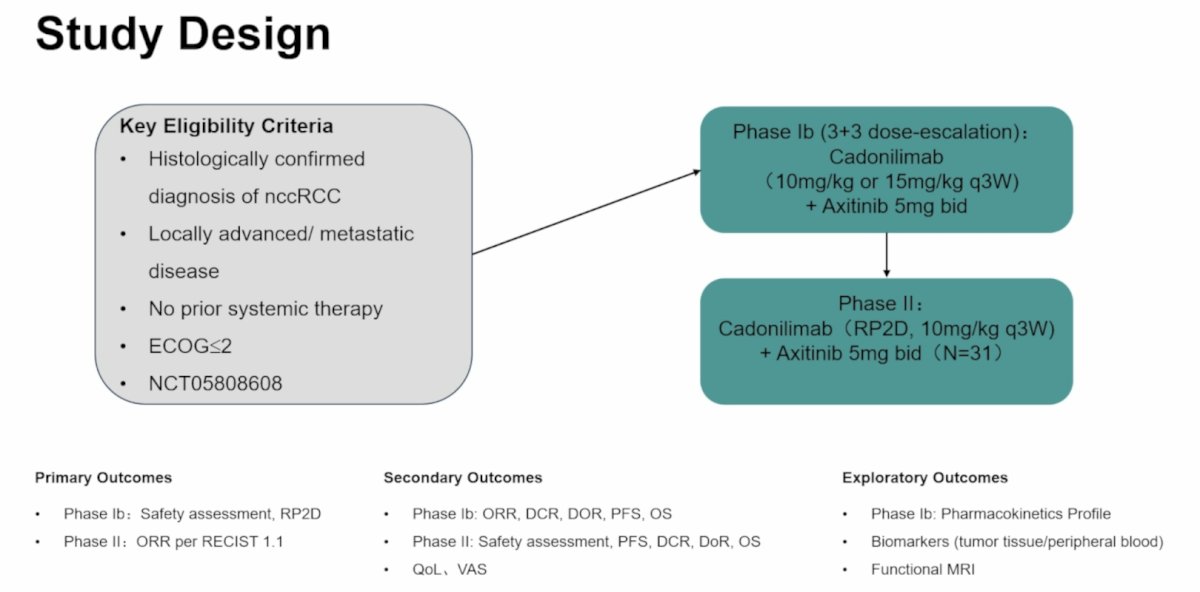 This open-label, multi-center, single-arm, phase Ib/II trial included patients with metastatic or unresectable treatment-naive non-clear cell RCC, regardless of PD-L1 status, to receive cadonilimab + axitinib 5 mg BID. In phase Ib, a 3+3 dose-escalation design was adopted, starting at 10 mg/kg every 3 weeks of cadonilimab with axitinib to evaluate safety. In phase II, an additional 31 patients were enrolled at the recommended phase II dose. The primary endpoints were safety assessment in phase Ib and objective response rate by RECIST v1.1 in phase II: