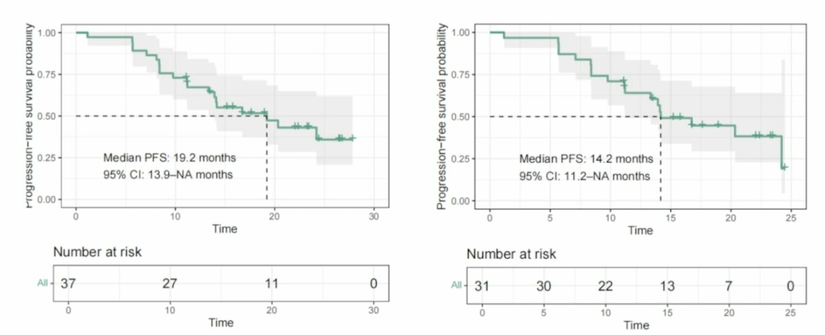 The median time to response was 3.5 months (range: 2.7-9.5), and the median duration of response was 17.5 months (range: 11.2 to not reached). Overall, 61.1% of responders remained in response for 12 months, and 19 patients are still continuing treatment at the data cutoff. The median progression-free survival in the total cohort was 19.2 months (95% CI 13.9 to not reached), and in the phase II cohort was 14.2 months (95% CI 11.2 to not reached):