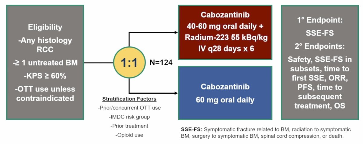 RADICAL is an open-label multicenter study that enrolled RCC patients with ≥1 symptomatic bone metastasis not previously irradiated and Karnofsky performance status ≥60%. Prior therapies were allowed, and the non-clear cell population was limited to 20%. Randomization was 1:1 to cabozantinib with (Arm A) or without (Arm B) radium-223, stratified by osteoclast targeted therapy, prior therapy, baseline opioid use, and IMDC risk. In Arm A, cabozantinib was given as 40 mg daily for cycle 1 and 60 mg thereafter, if tolerated. Radium-223 was 1.49 microcurie/kg IV every 28 days for 6 doses. In Arm B, cabozantinib was 60 mg daily. The primary endpoint was symptomatic skeletal event-free survival, and secondary endpoints were safety, objective response rate, progression-free survival, and overall survival:&nbsp;