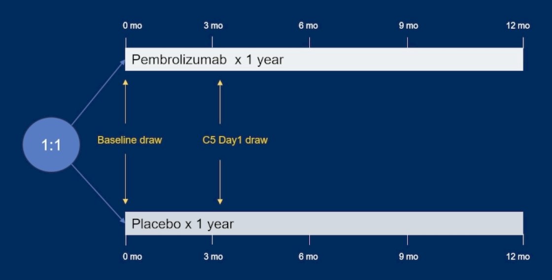The primary objectives of this analysis were to evaluate the association of baseline ctDNA status and ctDNA status change from baseline to cycle 5 day 1 (C5D1) with disease-free survival: