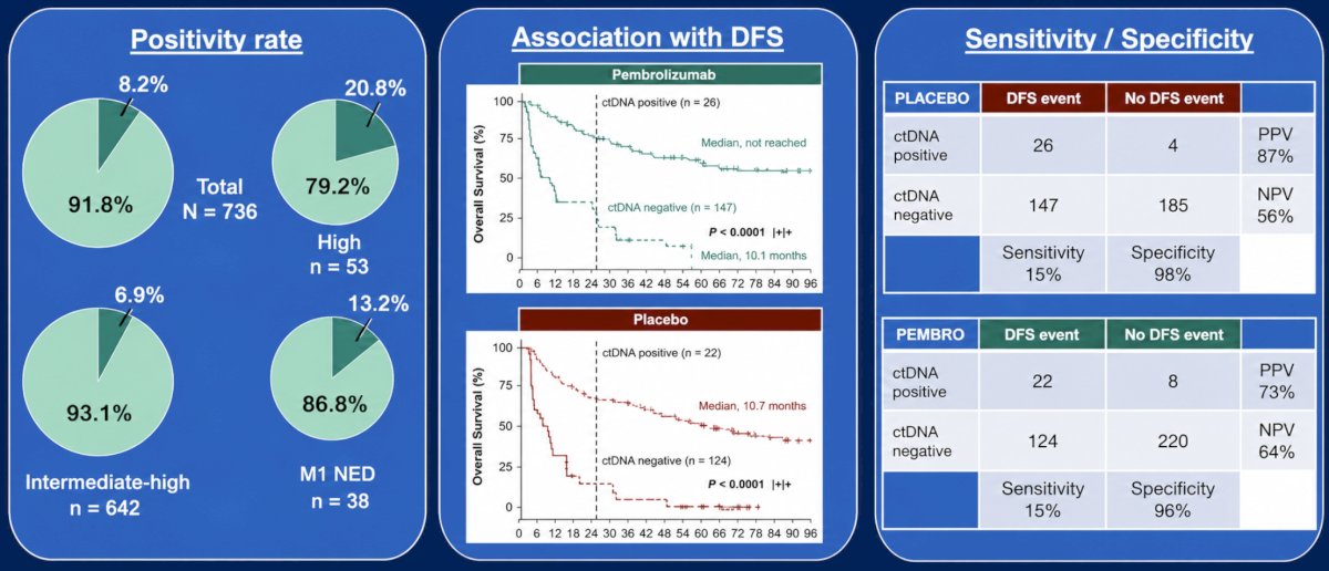 In both treatment arms, ctDNA was detectable at baseline in 40 participants (5.4%) using the 16-plex assay and 60 participants (8.2%) using the 64-plex assay. By risk group, using the 16-plex assay, ctDNA was detectable at baseline in 26 of 642 (4.0%) intermediate-high risk participants, 10 of 53 (18.9%) high-risk participants, and 4 of 38 (10.5%) M1 NED participants. Using the 64-plex assay, ctDNA was detectable in 44 of 642 (6.9%) intermediate-high risk participants, 11 of 53 (20.8%) high-risk participants, and 5 of 38 (13.2%) M1 NED participants. For both assays, ctDNA positivity was negatively associated with disease-free survival in both the pembrolizumab and placebo arms (both p-values < 0.0001). Additionally, ctDNA status at baseline showed low sensitivity and high specificity to predict disease-free survival in both treatment arms: