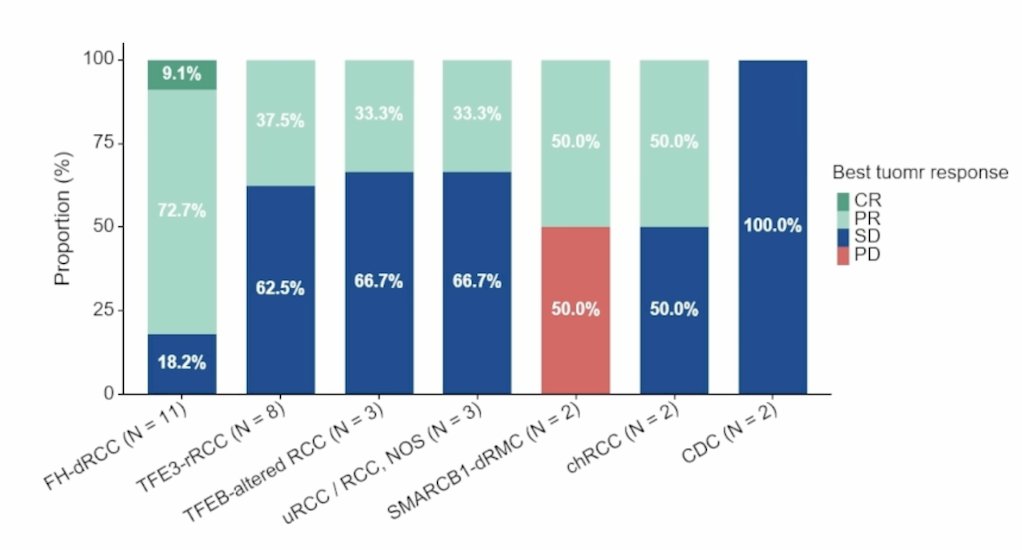 Among histopathological subtypes, the objective response rates were: