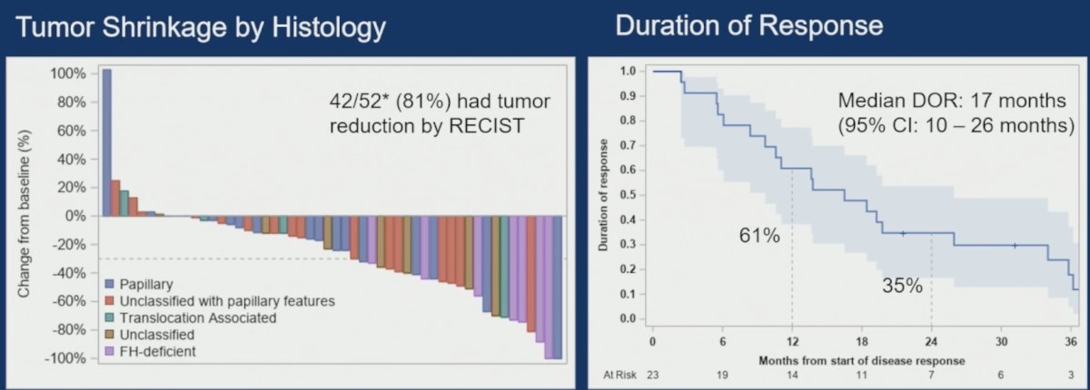 There were 81% of patients that had a tumor reduction per RECIST, and the median duration of response was 17 months (95% CI 10-26):&nbsp;