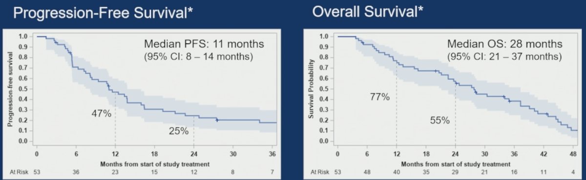 The median progression-free survival in Cohort 1 was 11 months (95% CI 8-14), the median overall survival was 28 months (95% CI 21-37), and there were 43 deaths after a median follow-up of 50 months for survivors: