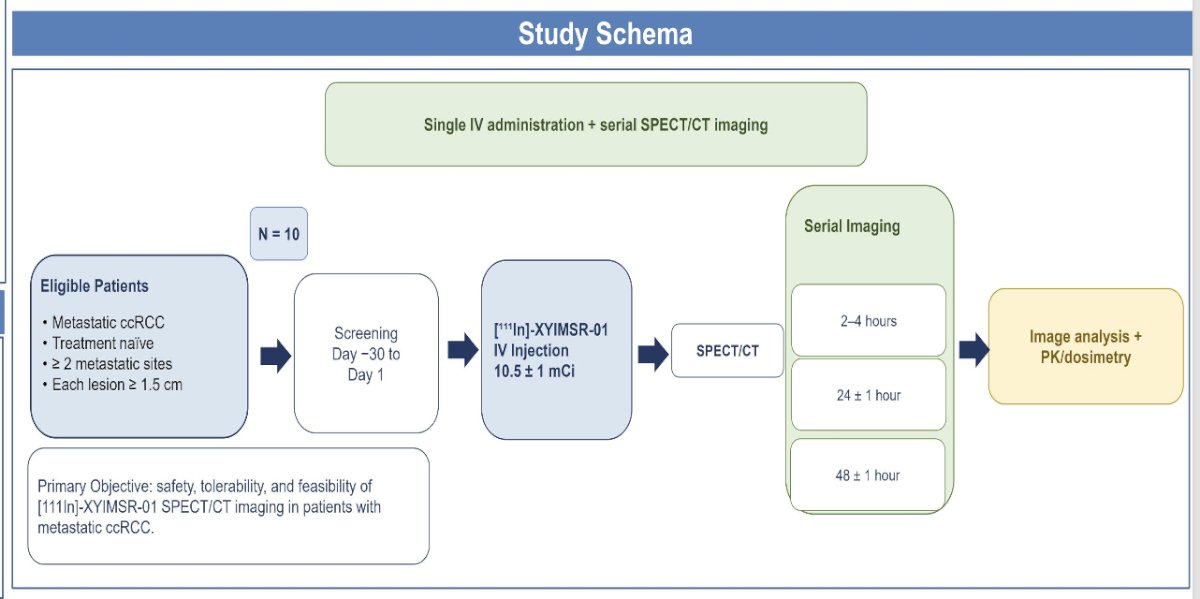 The study schema includes screening within 30 days prior to imaging, followed by a single intravenous administration of [111In]-XYIMSR-01 (9.5 ± 1.0 mCi). Serial SPECT/CT imaging is performed at approximately 2–4 hours, 24 ± 1 hours, and 48 ± 1 hours after administration. Blood samples are collected at multiple time points to support biodistribution, dosimetry, pharmacokinetics, and safety analyses. Imaging analyses and physiologic assessments are subsequently performed.