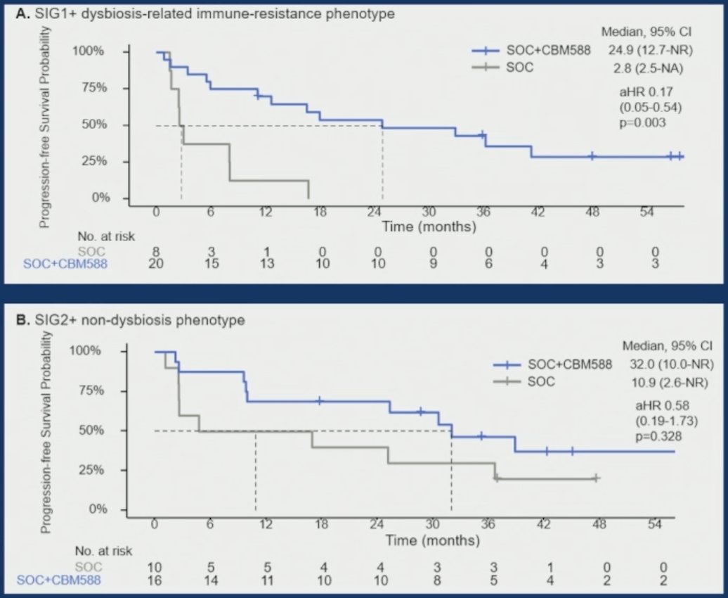 At baseline, S score was similar across arms (p = 0.16), and SIG1+ was seen in 55.6% of patients in the standard of care + CBM588 arm versus 44.4% in the standard of care arm (p = 0.441). While differences in progression free survival were not statistically significant in the SIG2+ cohort between standard of care + CBM588 and standard of care alone (32.0 versus 10.9 months, HR 0.58 [95% CI 0.19-1.73]), in the SIG1+ setting, a progression free survival improvement was seen for standard of care + CBM588 versus standard of care alone (24.9 versus 2.8 months, HR 0.17 [95% CI 0.05-0.54]):