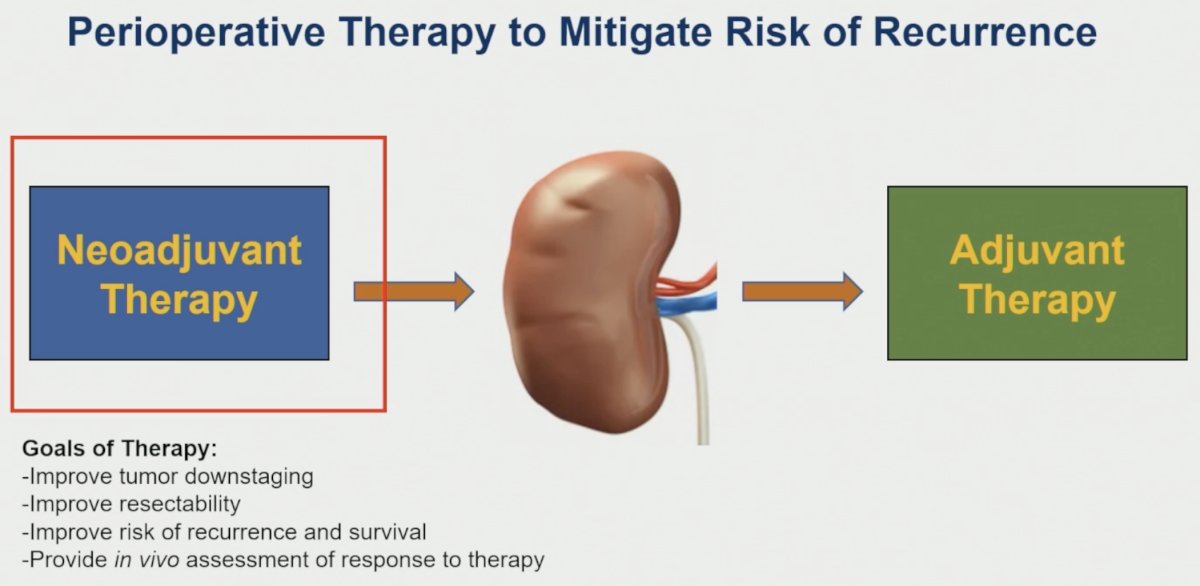 Dr. McKay highlighted the rationale for perioperative systemic therapy, emphasizing that neoadjuvant approaches offer several theoretical advantages over adjuvant treatment alone. Goals include tumor downstaging, improved surgical resectability, reduction in recurrence risk, and the opportunity to assess in vivo treatment response.